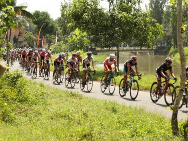 Berita Balap Sepeda: Tour De Ijen Banyuwangi 2016 Resmi Digelar