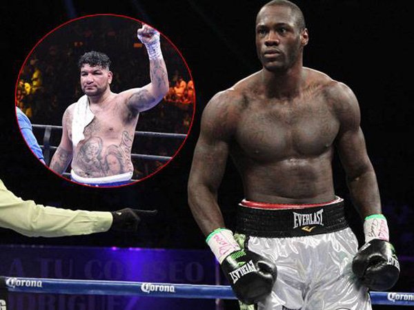 Berita Tinju: Deontay Wilder Akan Ladeni Chris Arreola