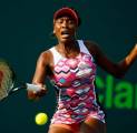 Berita Tenis: Venus Williams Bidik Olimpiade Tokyo