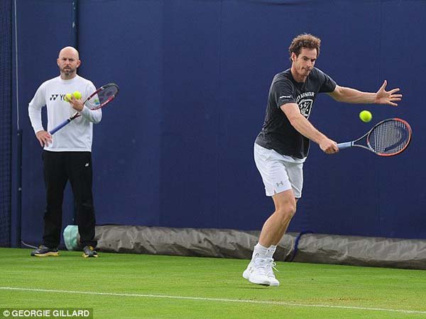 Berita Tenis: Andy Murray Mulai Kembali Berlatih Pasca Cedera