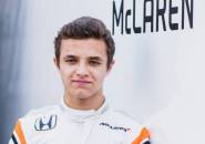 McLaren dan Toro Rosso Bersaing Gaet Lando Norris