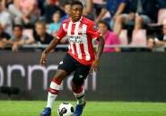 Tottenham Incar Bintang Muda PSV Eindhoven, Steven Bergwijn