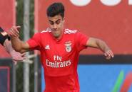 Pochettino Kirim Mata-Mata Pantau Langsung Aksi Bintang Muda Benfica