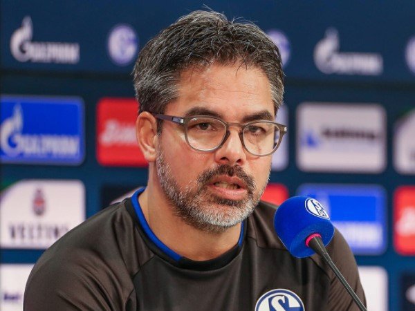Schalke 04 Resmi Memecat David Wagner dari Kursi Pelatih