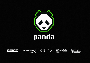 Panda Global Resmi Rebrand dan Hadir dengan Logo Baru