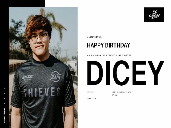 Tempatnya di 100 Thieves Digantikan Ethan, dicey Minta Fans Tak Meradang