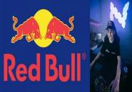 Juara Fortnite World Cup Nyhrox Bergabung ke Red Bull Gaming
