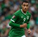 Republik Irlandia Belum Menyerah untuk Lolos ke Piala Dunia