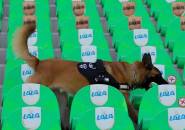 Girona Lakukan Studi Kelayakan untuk Hadirkan Anjing di Stadion