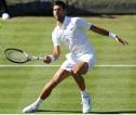 Novak Djokovic Berpotensi Jumpa Carlos Alcaraz Di Perempatfinal Wimbledon