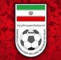 Jelang Piala Dunia, Timnas Iran Justru Pecat Manajernya, Dragan Skočić