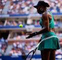 Di Tengah-Tengah Spekulasi Pensiun, Venus Williams Indikasikan Kembali