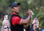 Tiger Woods Pastikan Siap Kembali Beraksi di Genesis Invitational