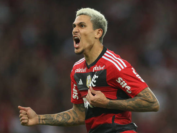 Ribut dengan Pemain, Asisten Pelatih Flamengo Minta Maaf