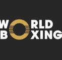 27 Negara Penuhi Syarat Ikut Serta Kongres Perdana World Boxing 2023