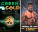 Francis Ngannou Masuk Peringkat WBC Setelah Kalah dari Tyson Fury