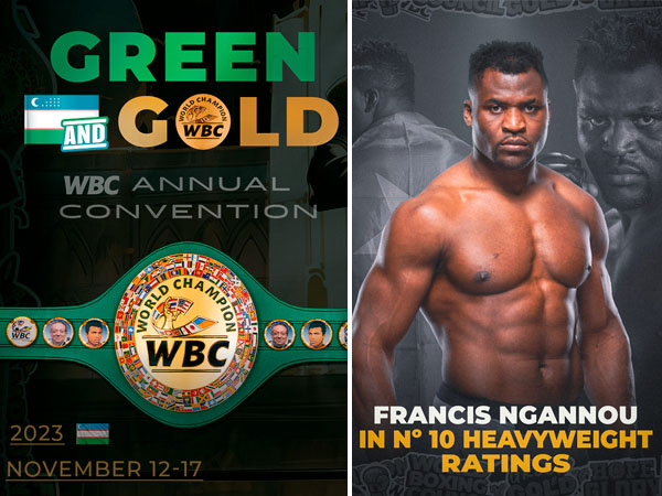 Francis Ngannou dianggap WBC tampil bagus saat kalah angka dari Tyson Fury. (Foto: X.com)