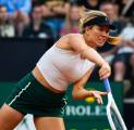 Danielle Rose Collins Paksa Victoria Azarenka Angkat Kaki Dari Roma