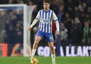 Tottenham Pantau Bintang Muda Brighton & Hove Albion