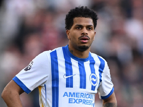Chelsea membidik Georginio Rutter dari Brighton