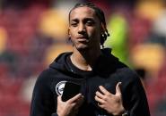 Chelsea Siap Tebus Joao Pedro dari Brighton & Hove Albion