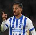 Joao Pedro Dicoret Jelang Laga Brighton vs Tottenham