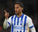 Joao Pedro Dicoret Jelang Laga Brighton vs Tottenham