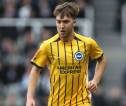 Brighton Gagal ke Eropa, Begini Reaksi Jack Hinshelwood