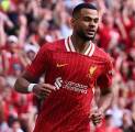 Bayern Munich Lirik Cody Gakpo untuk Perkuat Lini Serang