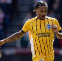 Arsenal Disarankan Rekrut Joao Pedro dari Brighton