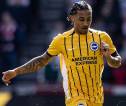 Arsenal Disarankan Rekrut Joao Pedro dari Brighton