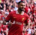 Bayern Munich Incar Cody Gakpo, Liverpool Pasang Harga Segini