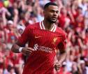 Bayern Munich Incar Cody Gakpo, Liverpool Pasang Harga Segini
