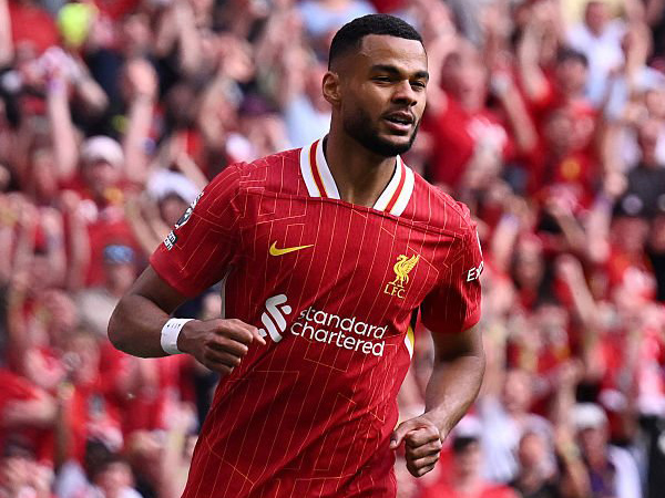 Bayern Munich Incar Cody Gakpo, Liverpool Pasang Harga Segini