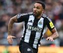 Saingi Leeds United, Everton Juga Incar Callum Wilson