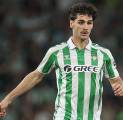 Atletico Madrid Capai Kesepakatan Pribadi dengan Johnny Cardoso