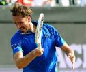 Daniil Medvedev Lulus Ujian Pertama Di ‘s-Hertogenbosch