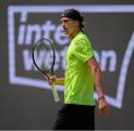 Alexander Zverev Dan Taylor Fritz Siap Suguhkan Laga Panas Di Stuttgart