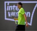 Alexander Zverev Dan Taylor Fritz Siap Suguhkan Laga Panas Di Stuttgart