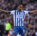 Brighton Siap Negosiasi, Joao Pedro Jadi Target Prioritas Newcastle United