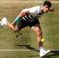 Carlos Alcaraz Selamat Dari Kekalahan Mengejutkan Di Queen’s Club