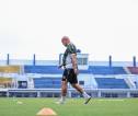 Clue Pemain Baru Persib: Belum Pernah Diasuh Bojan Hodak