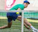 Jannik Sinner Kembali Ke Grass-Court Dengan Kemenangan Solid Di Halle