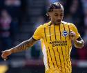 Chelsea dan Newcastle Rebutan Joao Pedro di Musim Panas