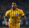 Newcastle United Was-was, Chelsea Siap Bajak Joao Pedro?