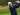 Berita Golf: Lee Westwood Kembali ke Permainan Terbaiknya di British Masters