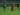 Berita Liga 1 Indonesia: PS TNI 2-1 Semen Padang, Kabau Sirah Tetap di Papan Bawah