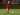 Calvin Ramsay Gabung Kilmarnock dengan Status Pinjaman dari Liverpool