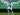 Cerita Sedih Arjen Robben di Penghujung Karier Bersama Groningen