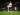 Cetak Brace vs Wimbledon, Harry Kane Lampaui Rekor Legenda Tottenham